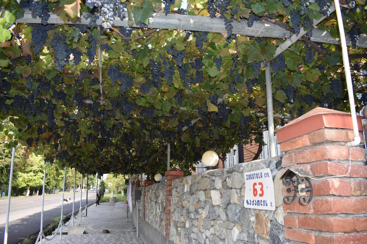 Family Hotel Lago & Wine Cellar 拉戈代希 外观 照片